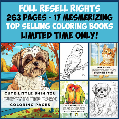 MRR 263 Pages, 17 Mesmerizing Coloring Books with Full Master Resell Rights